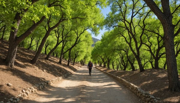 Les meilleurs sentiers de randonnée autour de manosque